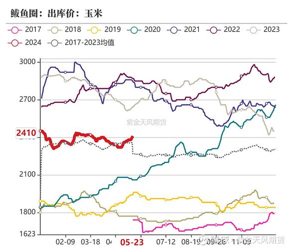 山东今日玉米价格最新动态解析